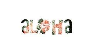 Aloha Fireworks Mens Logo T-shirt